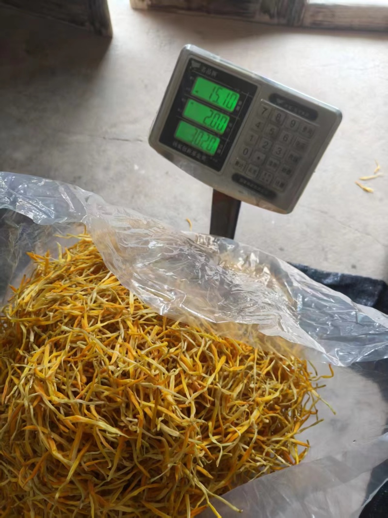 祁东干黄花菜农家自晒无硫金针菜天然干货