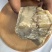 苏合香原料看图收货零售批发大货供应货源充足