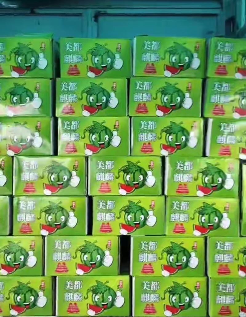 二等麒麟瓜