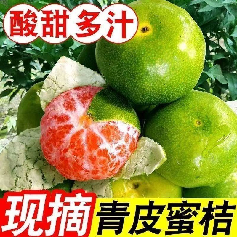 四川普早蜜桔，产地直发，品质保证，可对接电商商超等，诚信