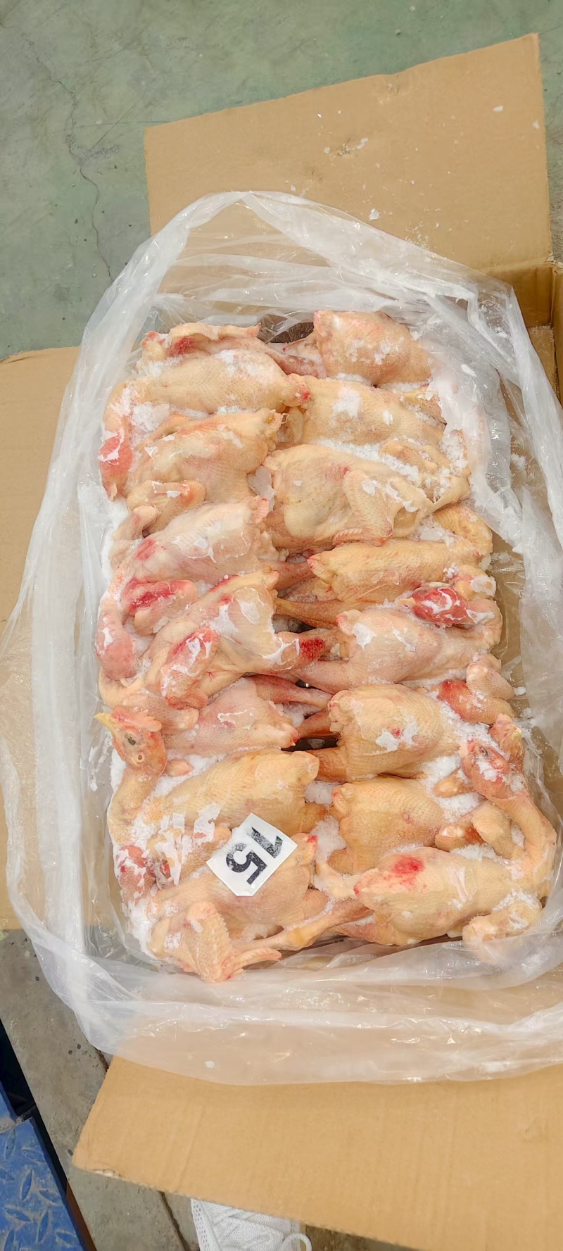 二级箱装三黄鸡9.5公斤11-15只各有5000件货