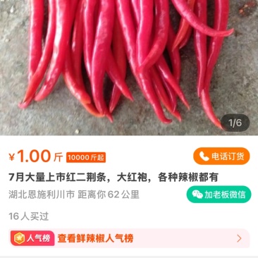 蔬菜