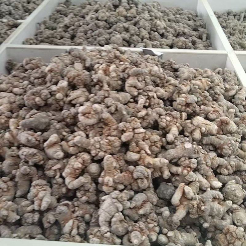 全网低价24小时在线服务三七产品自产自销品质保证