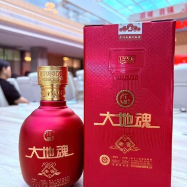 大地魂1996老窖酒/半斤装浓香型白酒
