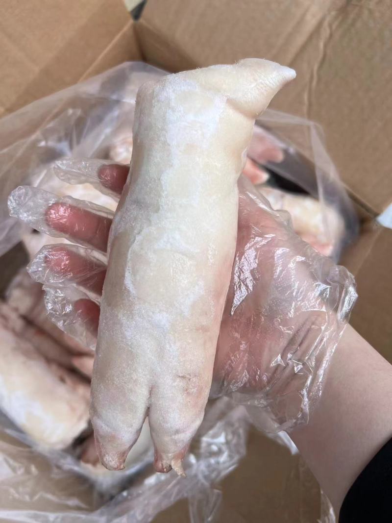 纯干猪蹄带筋，20斤一件20个左右