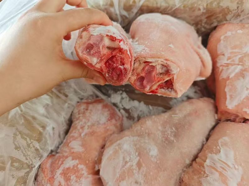 前肘8-9个头鲜分新货临沂提