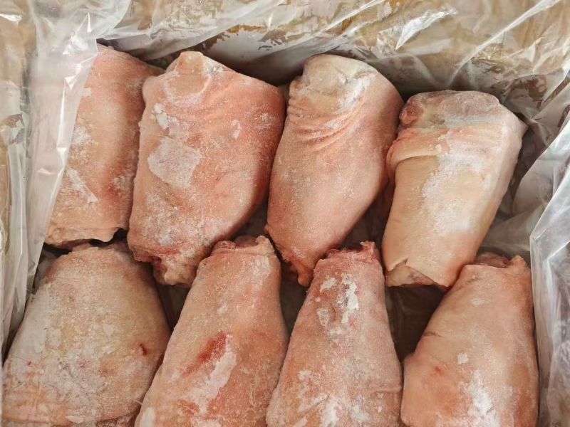 前肘8-9个头鲜分新货临沂提