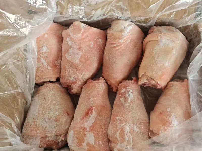 前肘8-9个头鲜分新货临沂提