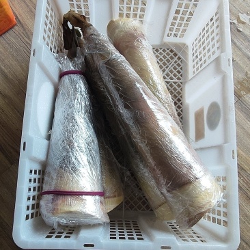 广东云浮竹笋