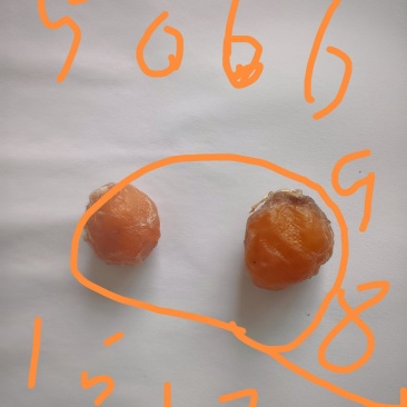 鸡宝出手可视频看货，上门交易，一次性出售