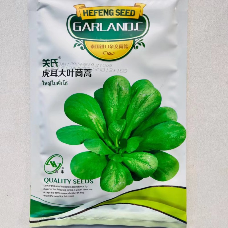 大叶茼蒿种子，茼蒿种子，大叶桐高种子筒篙种子大叶筒篙种子