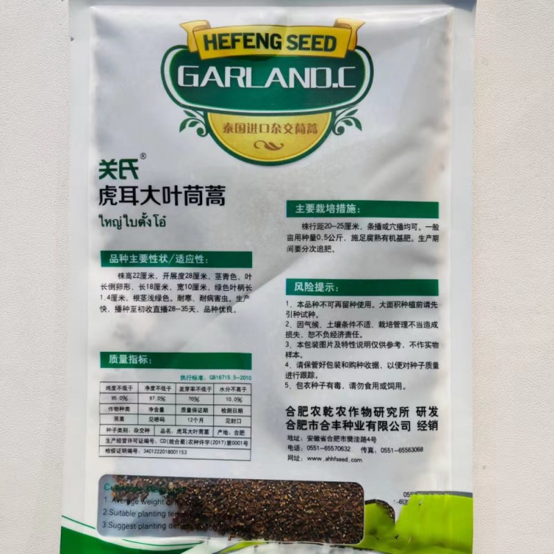 大叶茼蒿种子，茼蒿种子，大叶桐高种子筒篙种子大叶筒篙种子