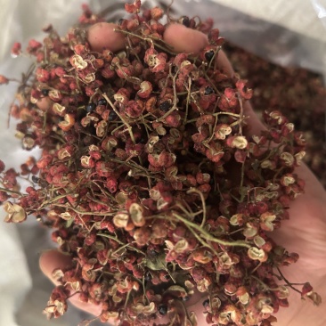 大红袍花椒