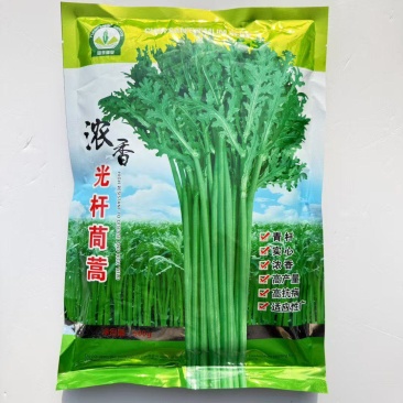 浓香光杆茼蒿种子四季播浓香小叶光杆茼蒿种子蔬菜种子