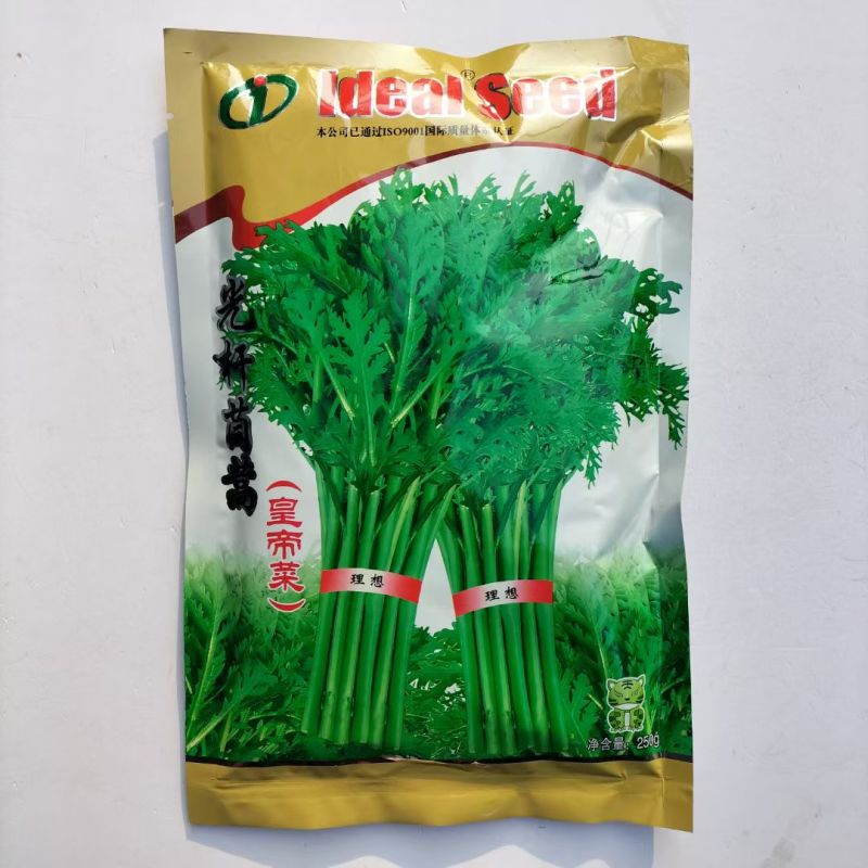 浓香光杆茼蒿种子四季播浓香小叶光杆茼蒿种子蔬菜种子