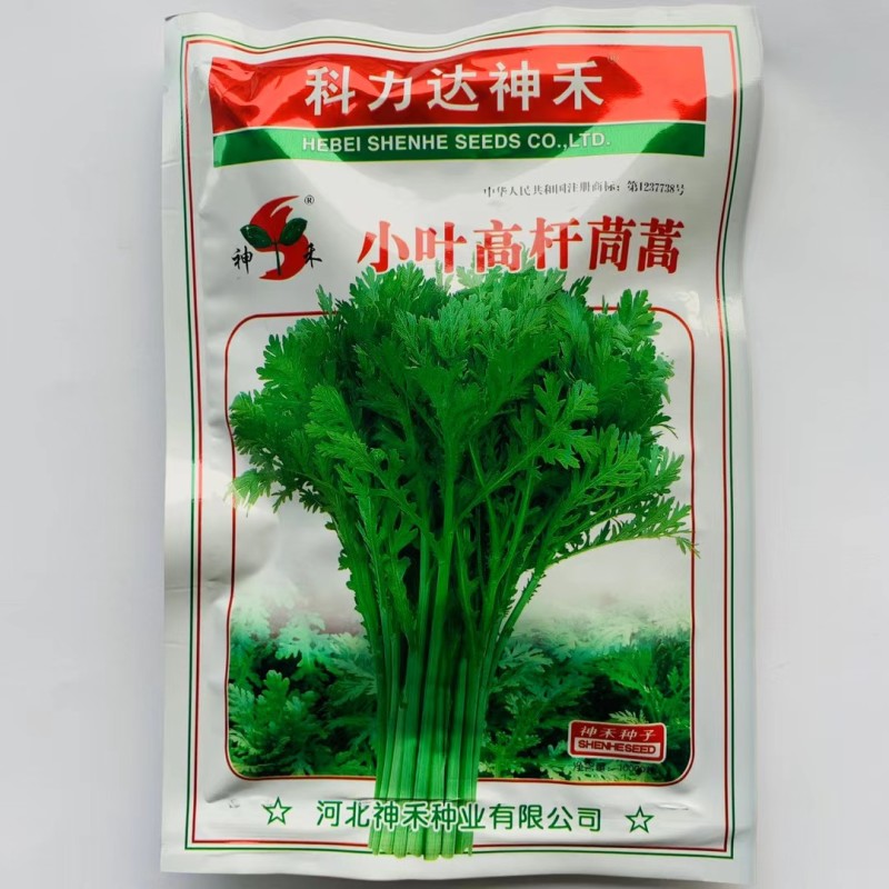 浓香光杆茼蒿种子四季播浓香小叶光杆茼蒿种子蔬菜种子