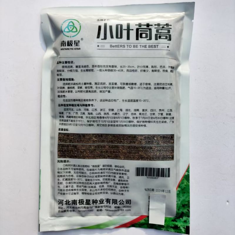 浓香光杆茼蒿种子四季播浓香小叶光杆茼蒿种子蔬菜种子