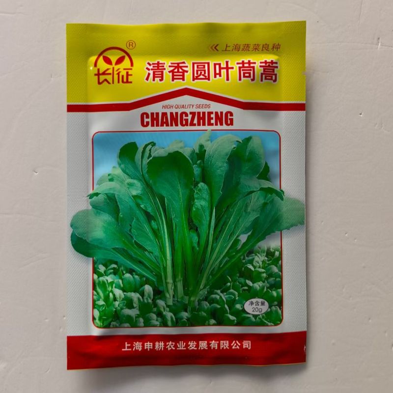 大叶茼蒿种子，茼蒿种子，大叶桐高种子筒篙种子大叶筒篙种子