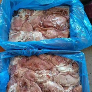猪圆肚