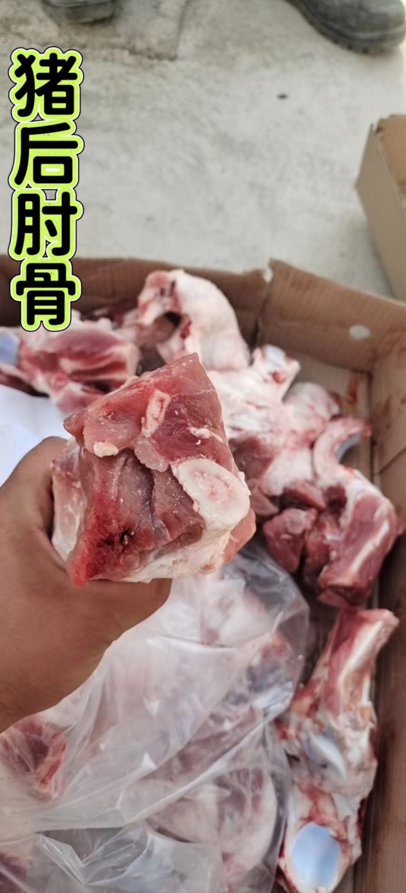 猪后肘骨160后肘骨山东腾惠将成为更多客户的选择
