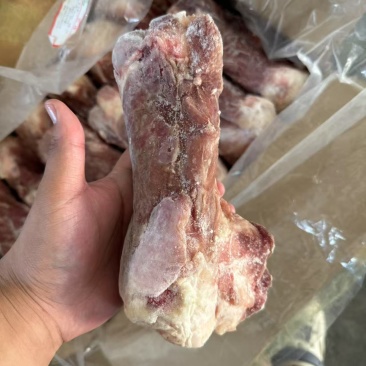 肥猪后棒骨10kg13/14个左右原始检疫，6吨现货，