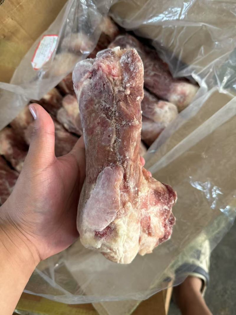 肥猪后棒骨10kg13/14个左右原始检疫，6吨现货，