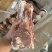 肥猪后棒骨10kg13/14个左右原始检疫，6吨现货，