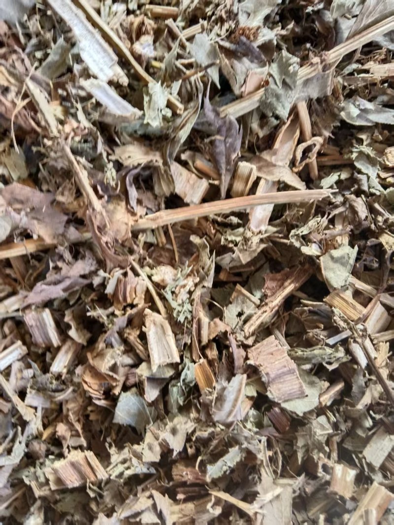 泽兰