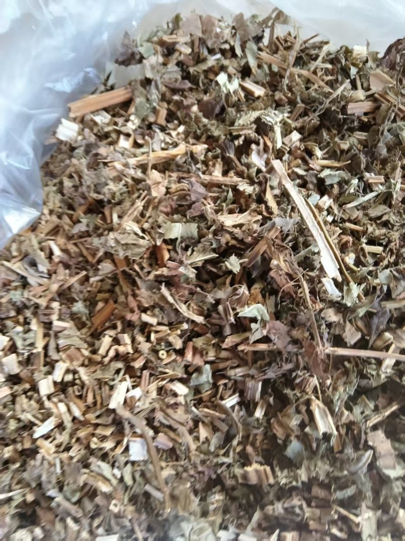 泽兰