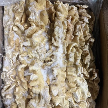 预煮大肠预煮大肠头10kg/箱新货大肠头大肠