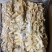 预煮大肠预煮大肠头10kg/箱新货大肠头大肠