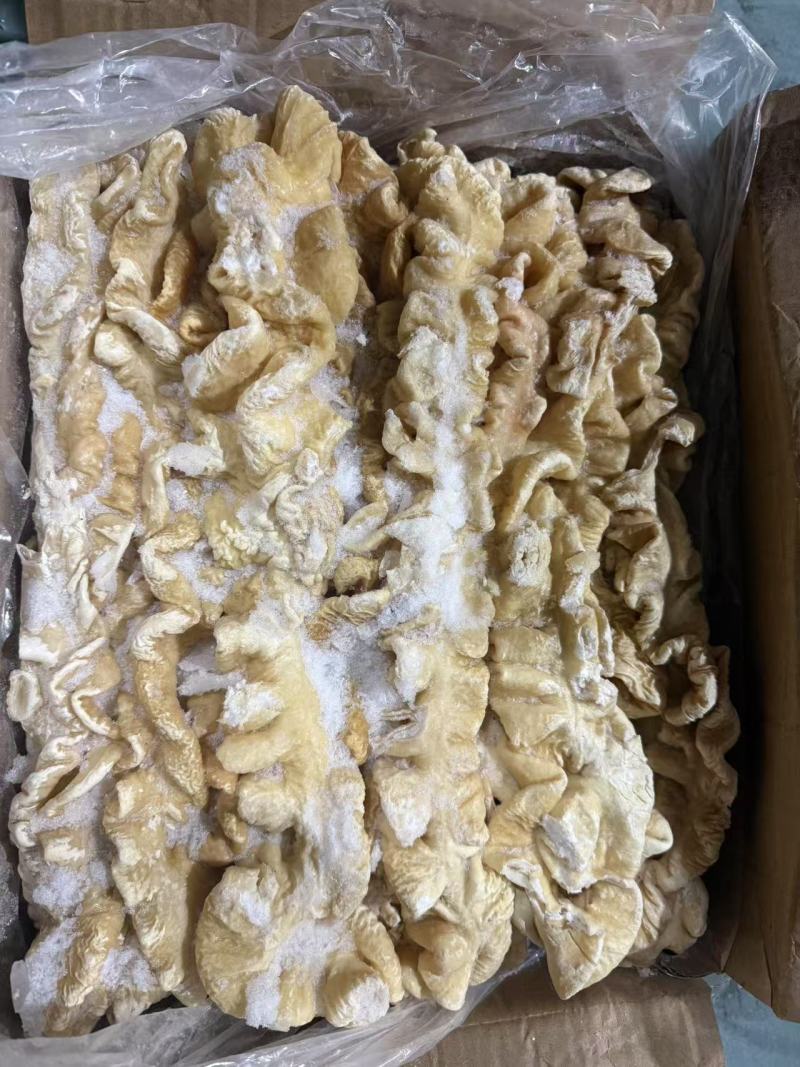 预煮大肠预煮大肠头10kg/箱新货大肠头大肠