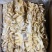 预煮大肠预煮大肠头10kg/箱新货大肠头大肠