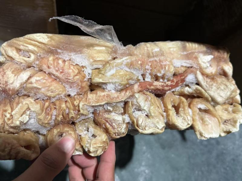 预煮大肠预煮大肠头10kg/箱新货大肠头大肠