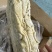 预煮大肠预煮大肠头10kg/箱新货大肠头大肠