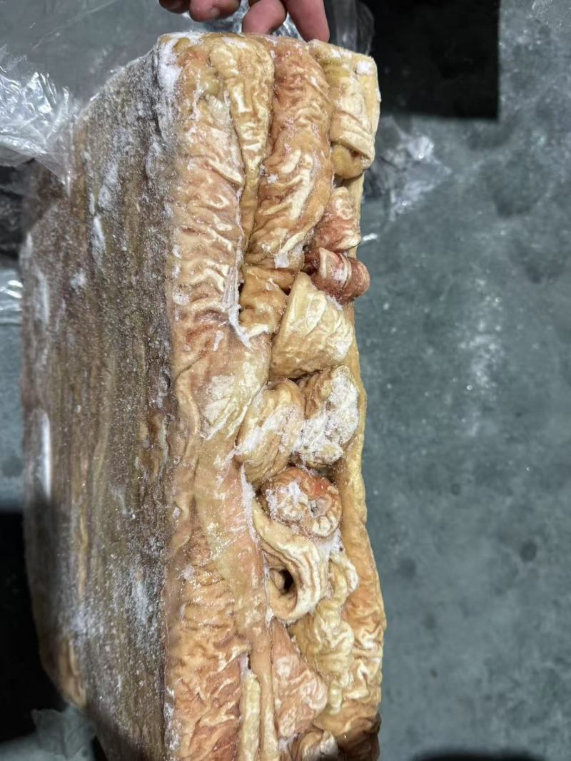 预煮大肠预煮大肠头10kg/箱新货大肠头大肠
