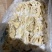 预煮大肠预煮大肠头10kg/箱新货大肠头大肠