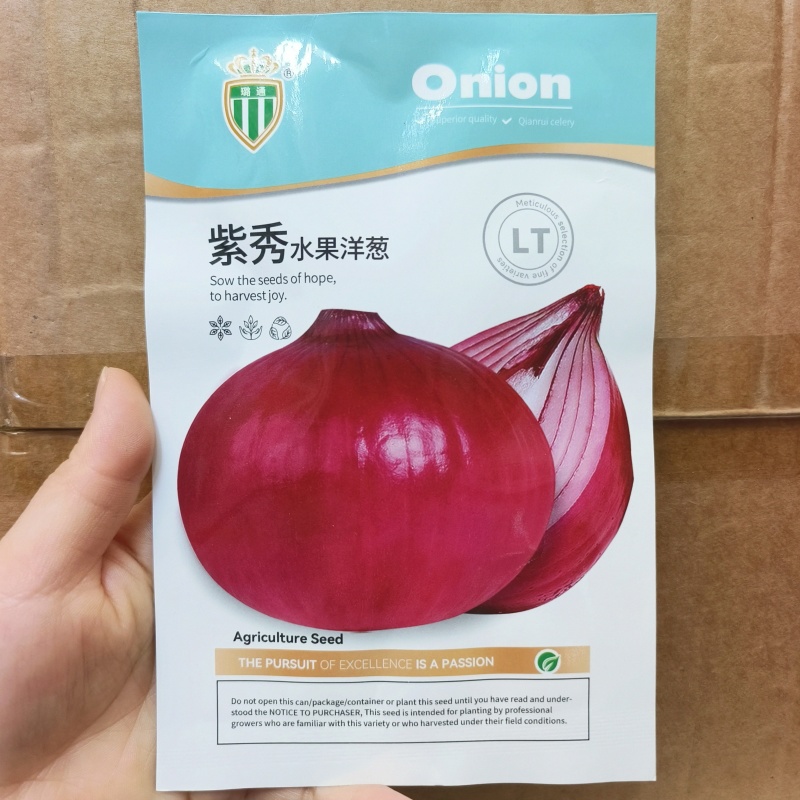 紫玉玫瑰水果洋葱种子中熟紫红洋葱种子辣味少有甜味洋葱圆葱