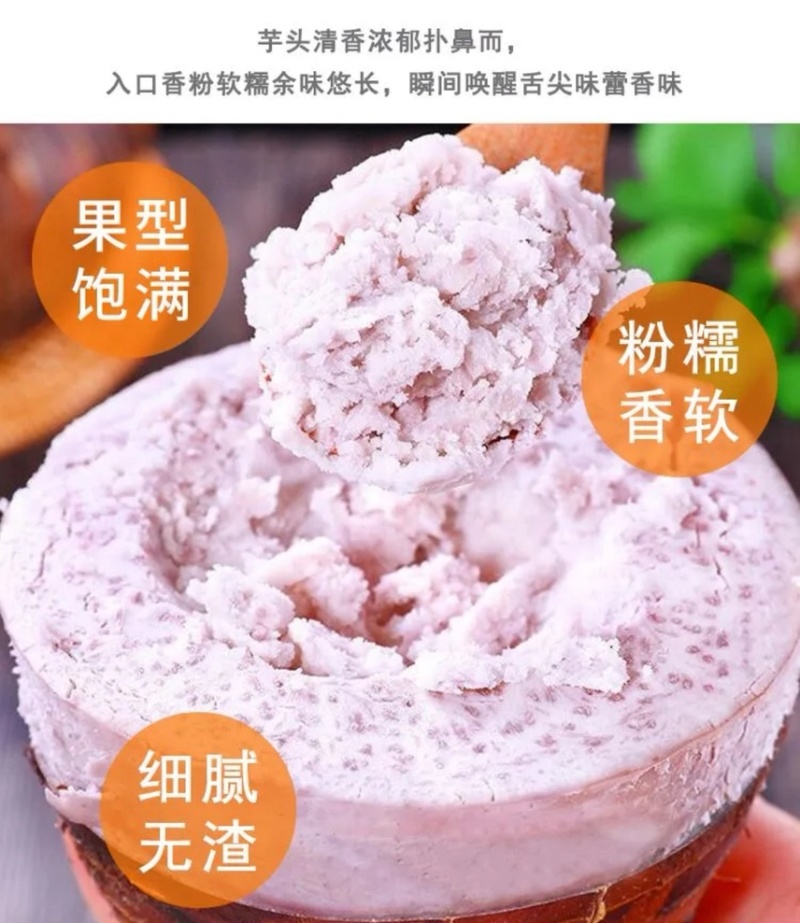 正宗高产荔浦芋头种子