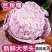 正宗高产荔浦芋头种子