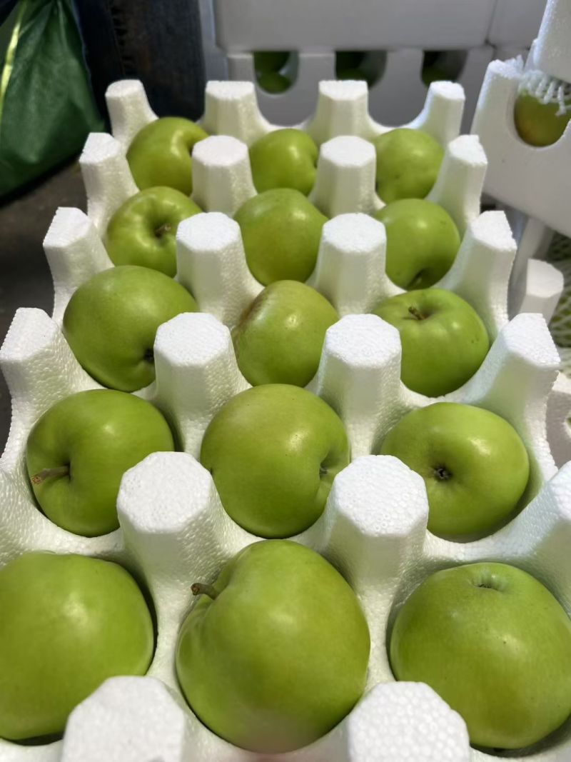 云南昭通红露苹果大量上市牧原商超一件代发