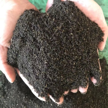 发酵纯羊粪种植蔬菜种底肥腐熟农家肥