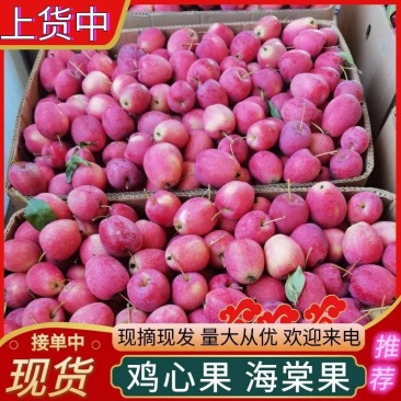 《鸡心果&海棠果》基地现摘/自有场地和冷库/按需包装