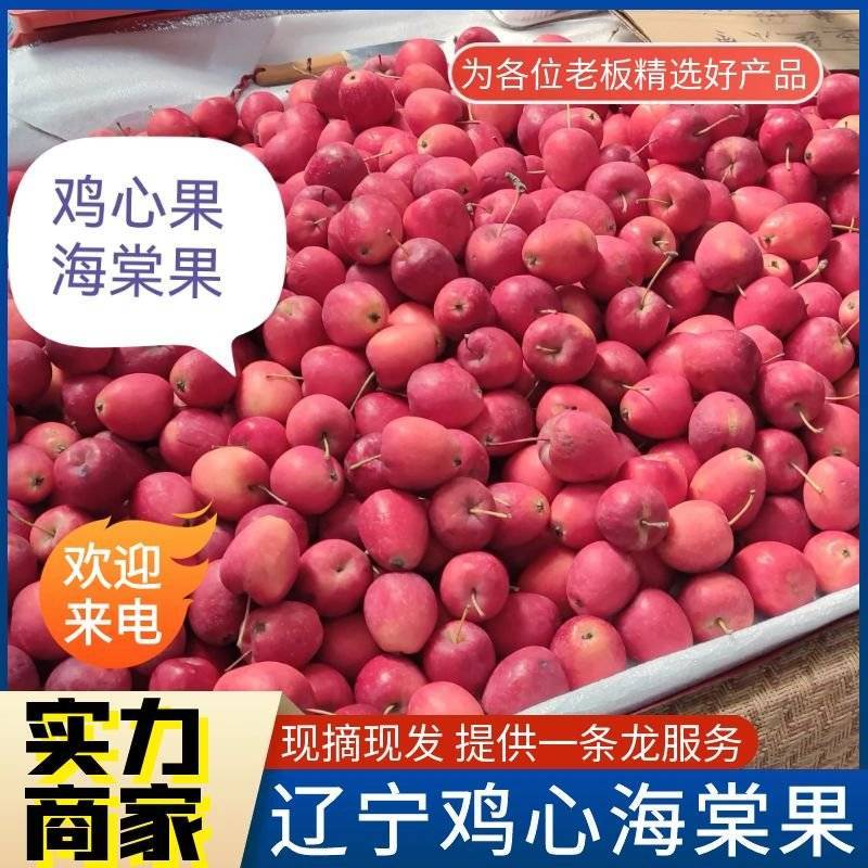鸡心果&辽宁鸡心果/源头产地现摘现发/可全国发货