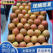 《推荐》南果梨/辽宁产地批发+自有冷库场地/全国发货