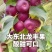 《精选》龙丰果&辽宁苹果/酸甜可口/产地直供/可全国代发