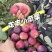 《精选》龙丰果&辽宁苹果/酸甜可口/产地直供/可全国代发