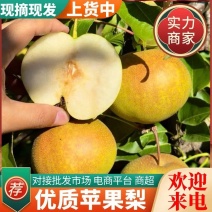 苹果梨&尖把梨/产地现货随到随装/量大从优/可全国发货