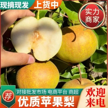 苹果梨&尖把梨/产地现货随到随装/量大从优/可全国发货