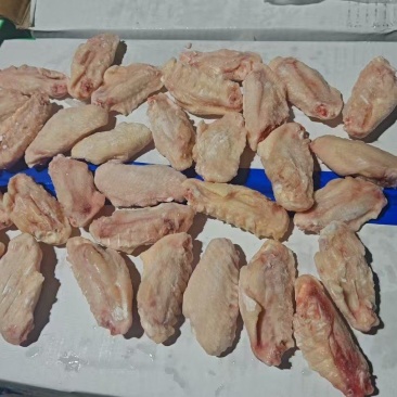 鸡翅中